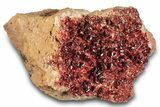Glittering, Ruby Red Vanadinite Crystals on Barite - Morocco #278227-2